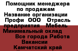 Помощник менеджера по продажам › Название организации ­ Профи, ООО › Отрасль предприятия ­ Мебель › Минимальный оклад ­ 60 000 - Все города Работа » Вакансии   . Камчатский край,Петропавловск-Камчатский г.